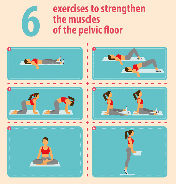 Pelvic Floor