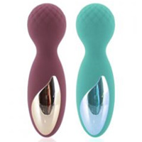 Flexi Personal Massager 