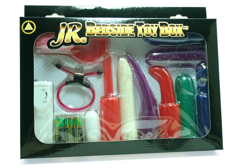 Discreet sex toy storage box