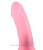 Caribbean Jelly Vibrating Penis curved shaft