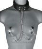 Collar and Nipple Clamps being worn