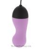 Egg Vibrator with Remote Control