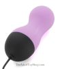 Egg Vibrator with Remote Control