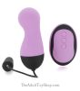 Egg Vibrator with Remote Control