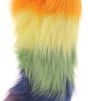 Rainbow Fox Tail Butt Plug colors