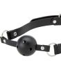 Ball Gag and Nipple Clamps Set