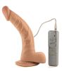 Large Curved Vibrator with controller