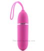 Hands-free Lovers Remote Control Vibrator