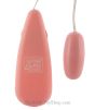 Passion Pink Vibrating Bullet controller