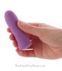 Power Touch Remote Control Vibrator demo