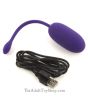 Rechargeable USB Egg Vibrator