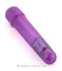 Travel Blaster Bullet Toy vibrator