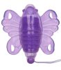 Venus Butterfly front