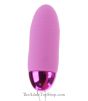 Revel Remote Controlled Vibrator on/off