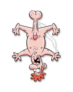 Hung By the Balls Air Freshner
