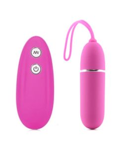 Lovers Remote Control Couples Sex Toy