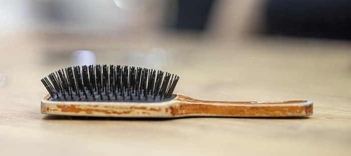 Hairbrush Handle and Head