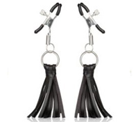 Nipple Toys