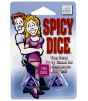 Spicy Sex Dice Game